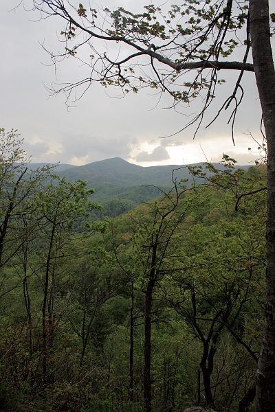 teness6789.JPG - Great Smoky Mountain National Park