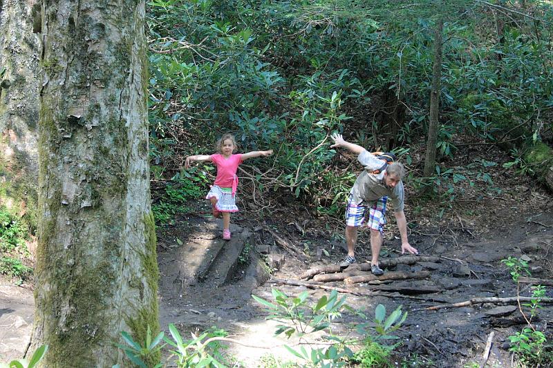 teness6791.JPG - Great Smoky Mountain National Park