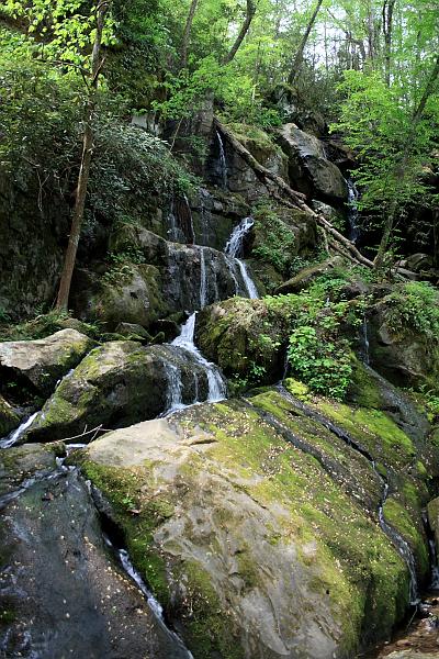teness6797.JPG - Great Smoky Mountain National Park