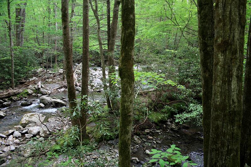 teness6798.JPG - Great Smoky Mountain National Park