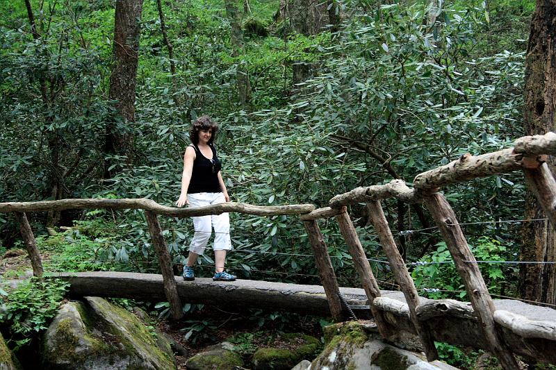 teness6801.JPG - Great Smoky Mountain National Park