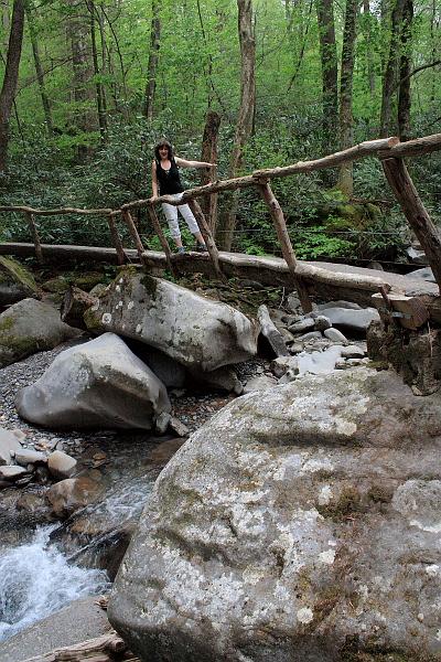 teness6802.JPG - Great Smoky Mountain National Park