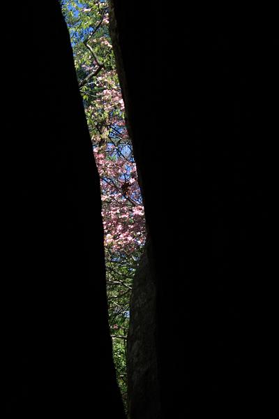 tenness6632.JPG - Rock City Gardens, Georgia