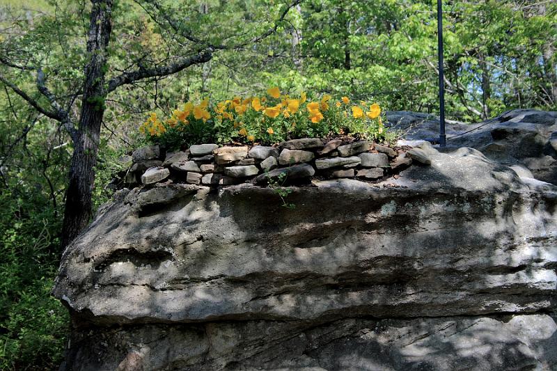 tenness6635.JPG - Rock City Gardens, Georgia