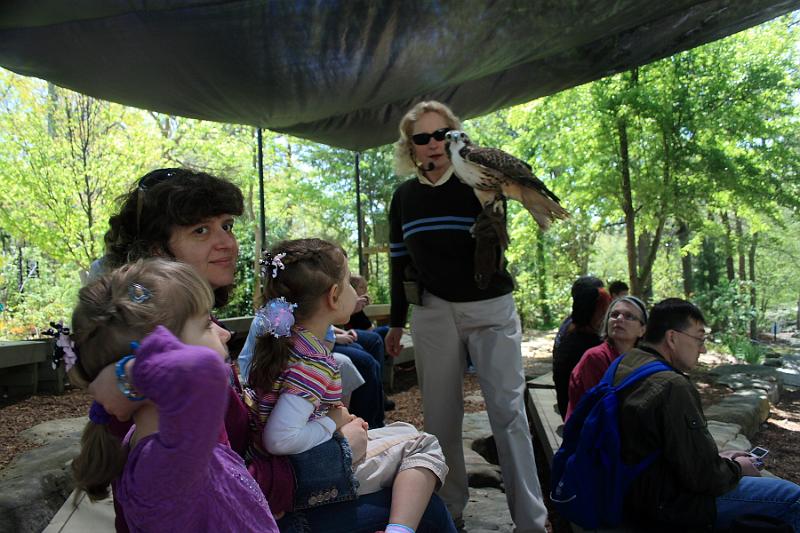 tenness6650.JPG - Bird Show in the Rock City Gardens, Georgia