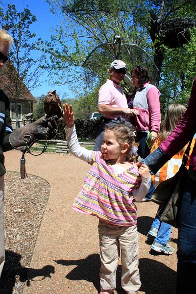 tenness6653.JPG - Bird Show in the Rock City Gardens, Georgia