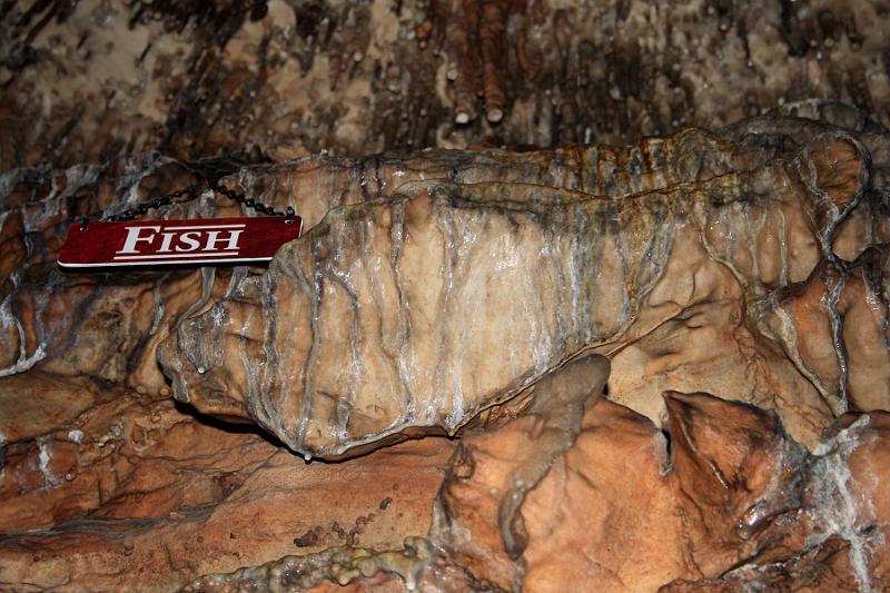 tenness6658.JPG - Ruby Falls, Tennessee