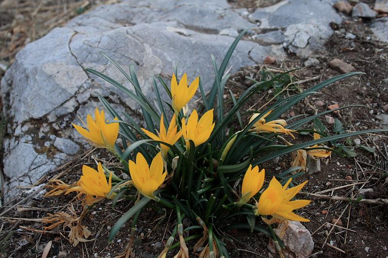 greece0049.JPG - At the Areopagus Hill