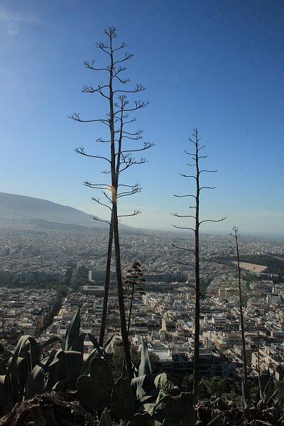 greece0118.JPG - City view from the Lykavittos Hill