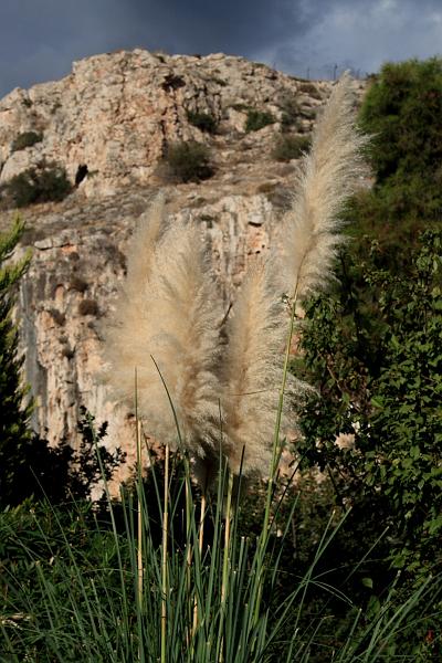 greece0144.JPG - Vouliagmeni Lake