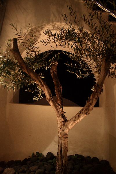 greece0296.JPG - Oia at night