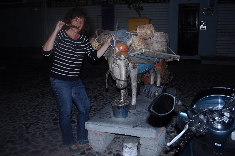 greece0310.JPG - A donkey on a street of Thira