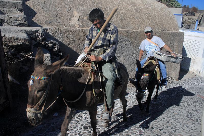 greece0345.JPG - Donkeys in Thirassia