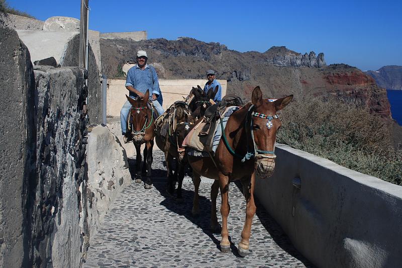 greece0346.JPG - Donkeys in Thirassia