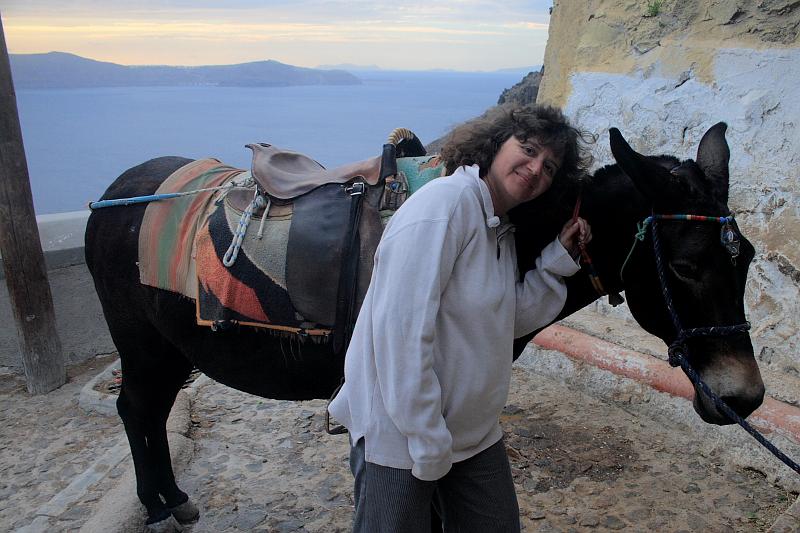 greece0539.JPG - Donkey path in Thira