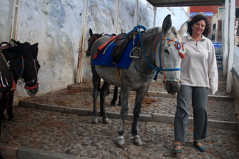 greece0540.JPG - Donkey path in Thira
