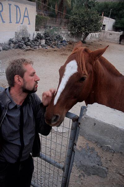 greece0542.JPG - Horse farm in Perissa