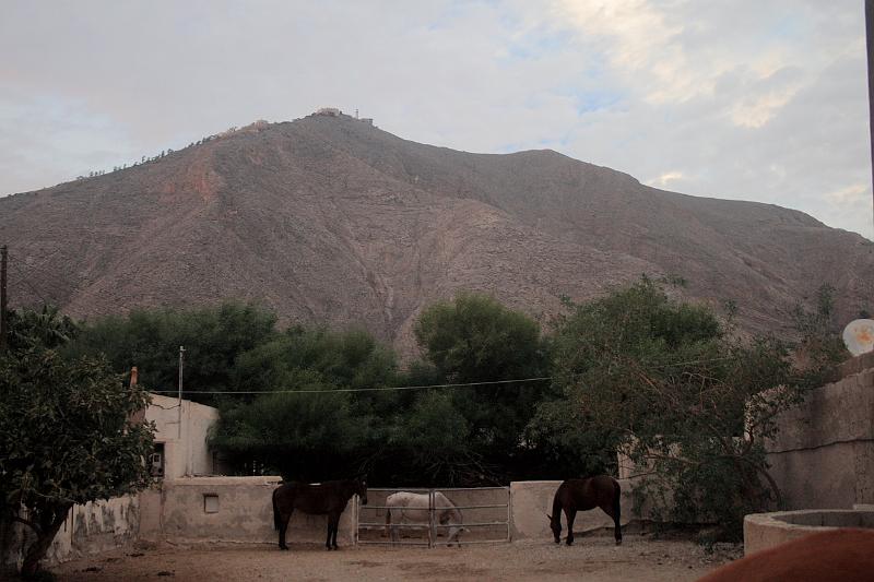 greece0544.JPG - Horse farm in Perissa