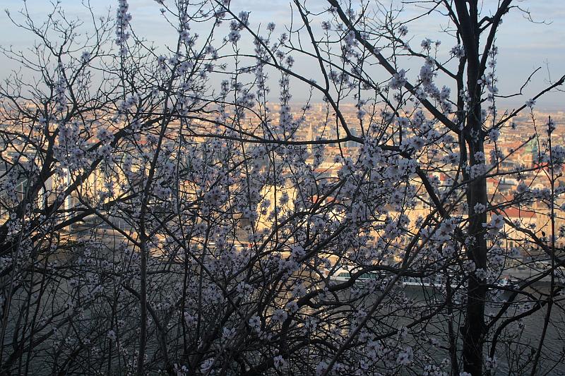 hung084.JPG - View from the Gellert Hill