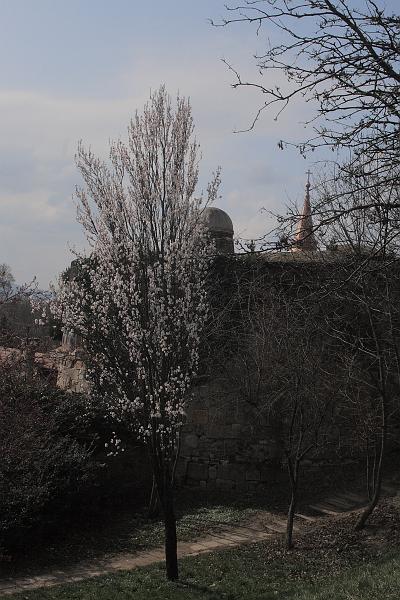 hung129.JPG - Esztergom