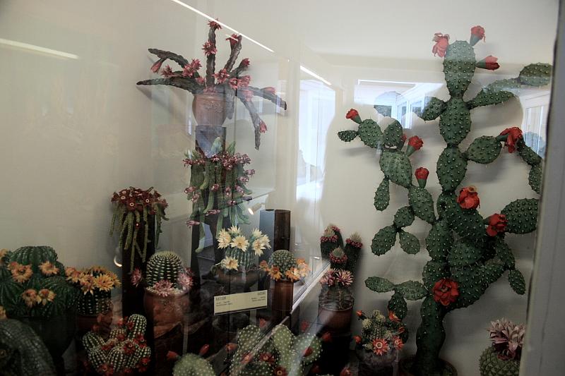 hung142.JPG - Marzipan Museum in Szentendre