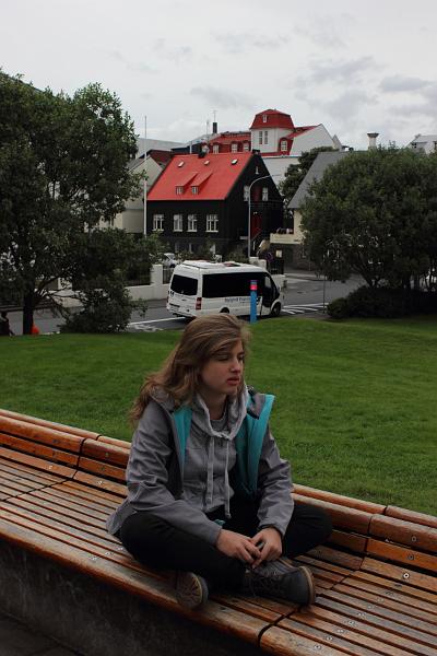 iceland033.JPG - On the Arnarholl Hill 