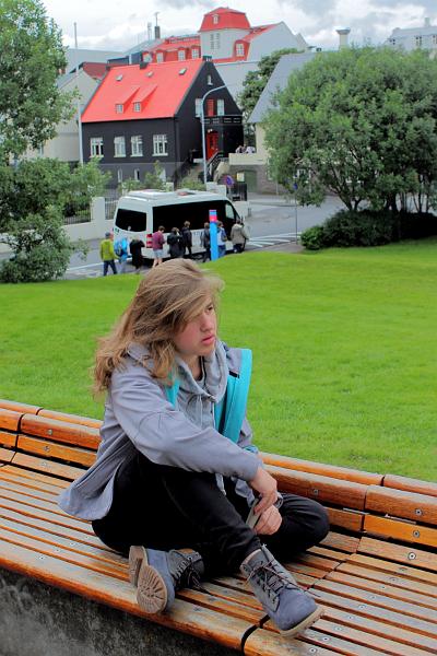 iceland034.JPG - On the Arnarholl Hill 