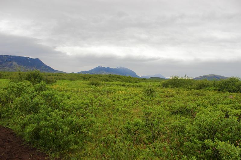 iceland051.JPG - On the way to Bruarfoss waterfall