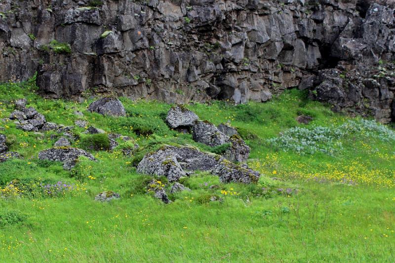 iceland089.JPG - Thingvellir National Park 