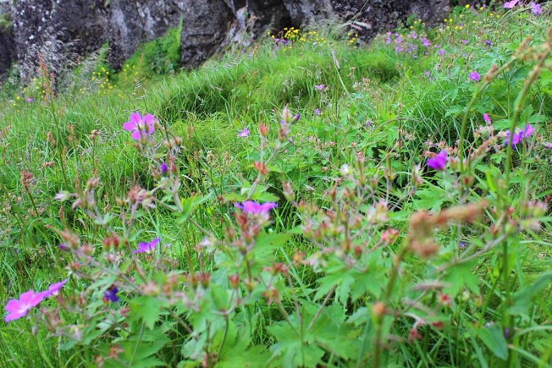 iceland090.JPG - Thingvellir National Park 