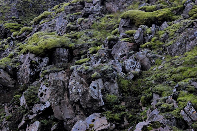 iceland116.JPG - Landmannlaugar