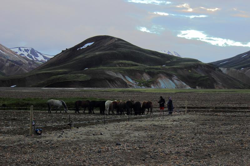 iceland117.JPG - Landmannlaugar