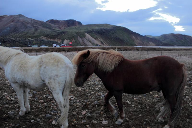 iceland127.JPG - Landmannlaugar