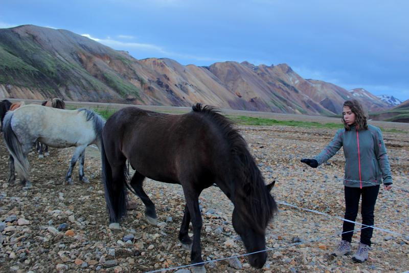 iceland130.JPG - Landmannlaugar