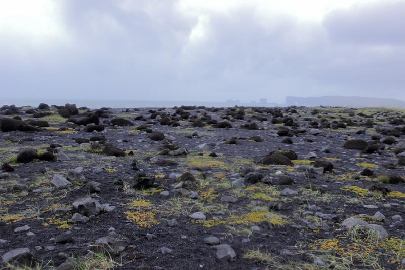 iceland210.JPG - Surroundings of our guesthouse in lava Arnardrangur