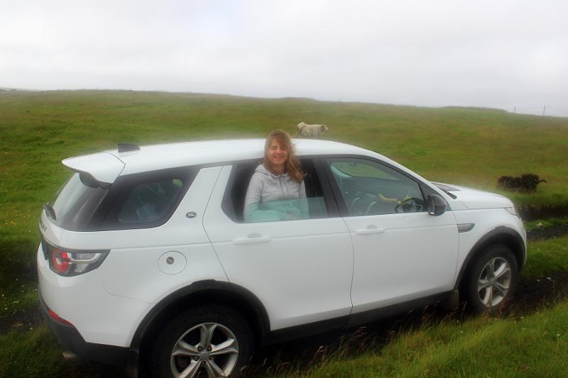 iceland216.JPG - Surroundings of our guesthouse in lava Arnardrangur