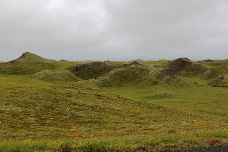 iceland218.JPG - Surroundings of our guesthouse in lava Arnardrangur
