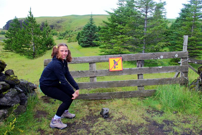 iceland223.JPG - On the way to Fjaðrárgljúfur canyon