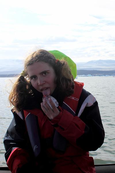 iceland292.JPG - Jokulsarlon Glacier Lagoon