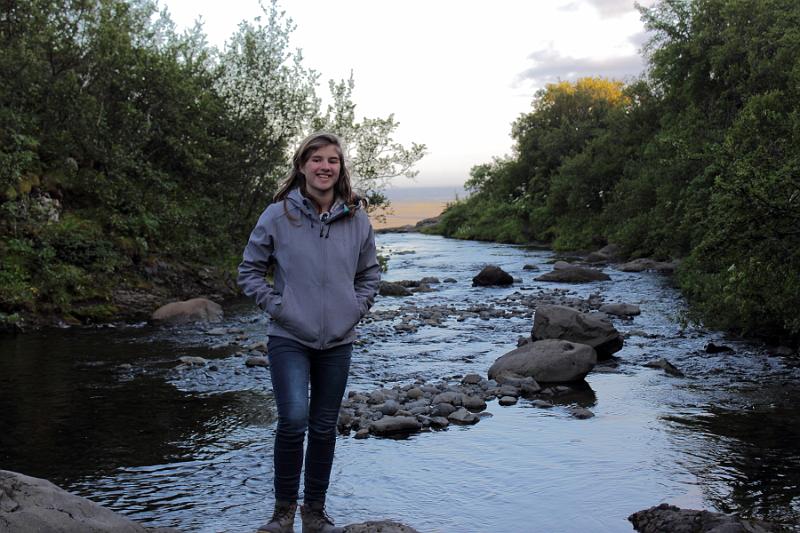 iceland321.JPG - Skaftafell park