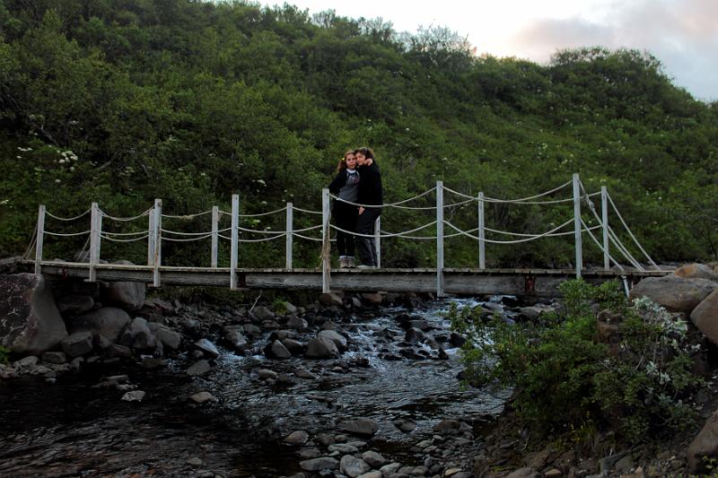 iceland328.JPG - Skaftafell park