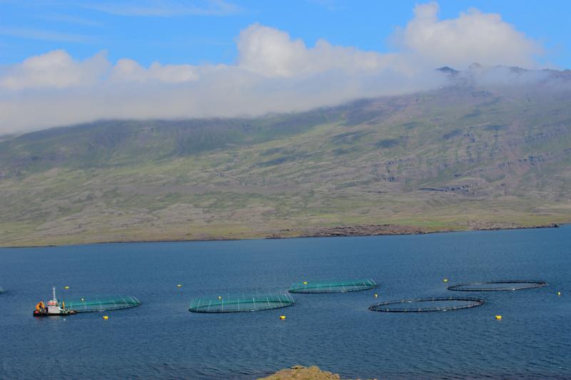 iceland402.JPG - East Iceland