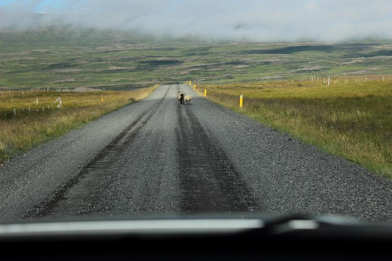 iceland425.JPG - Highlands of Iceland