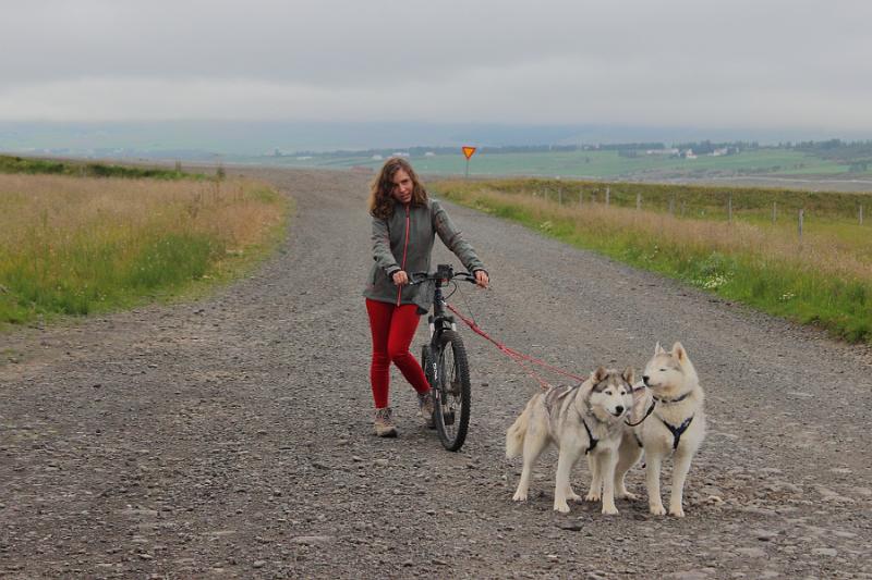 iceland458.JPG - Dog scootering in Akureyri 