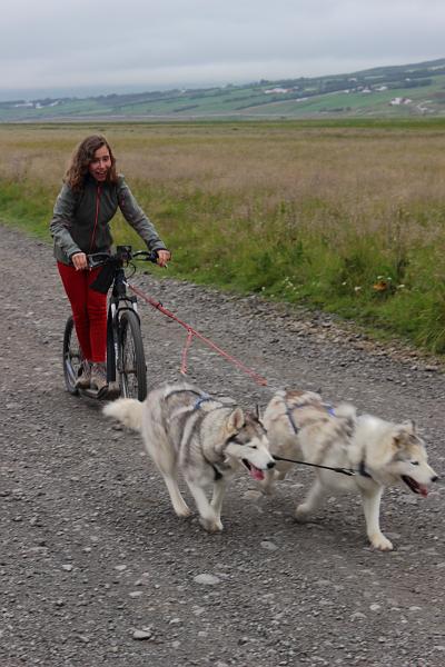 iceland460.JPG - Dog scootering in Akureyri 