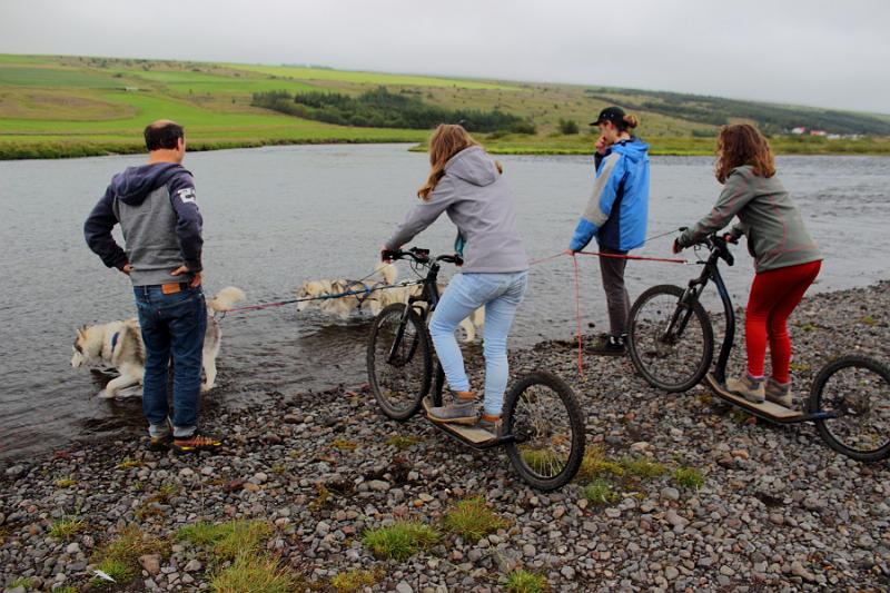 iceland466.JPG - Dog scootering in Akureyri 