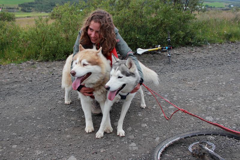 iceland475.JPG - Dog scootering in Akureyri 