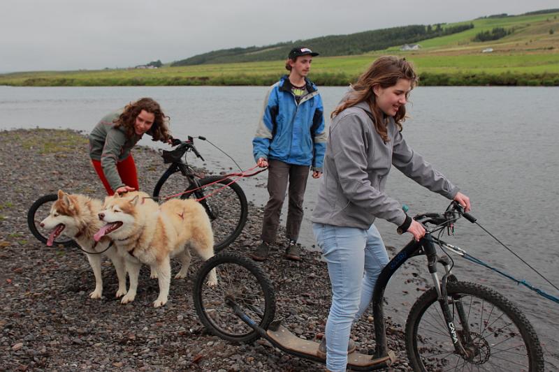 iceland480.JPG - Dog scootering in Akureyri 