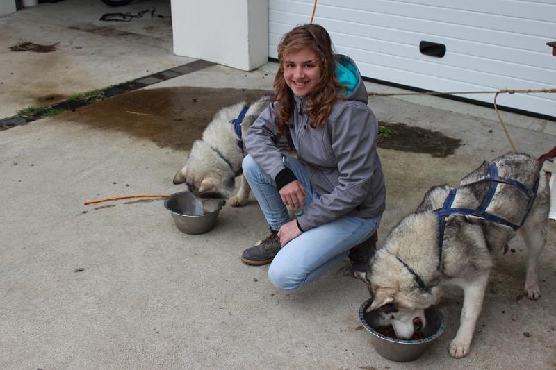iceland485.JPG - Dog scootering in Akureyri 