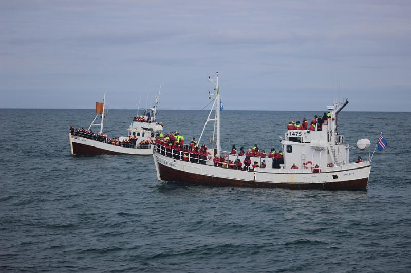 iceland521.JPG - Whale Watching and Puffins Tour from Husavik 